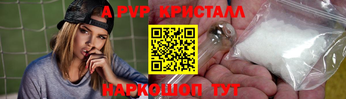 APVP СК Алейск