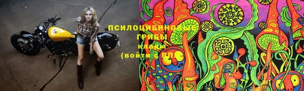 крисы Нея
