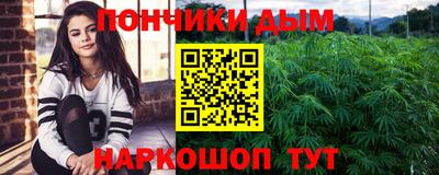 индика Абакан