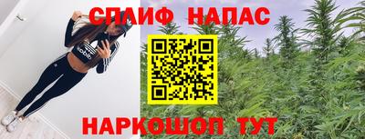 индика Абакан
