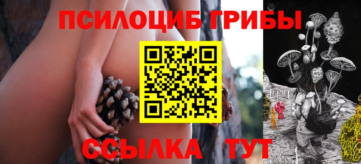 Псилоцибиновые грибы Psilocybine cubensis  Вход с VPN  Алейск 