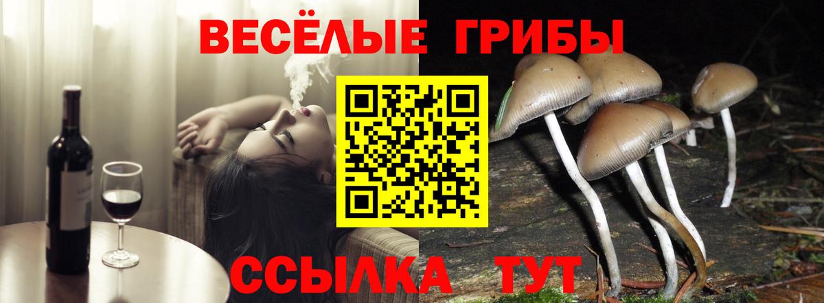 Галлюциногенные грибы мицелий Алейск