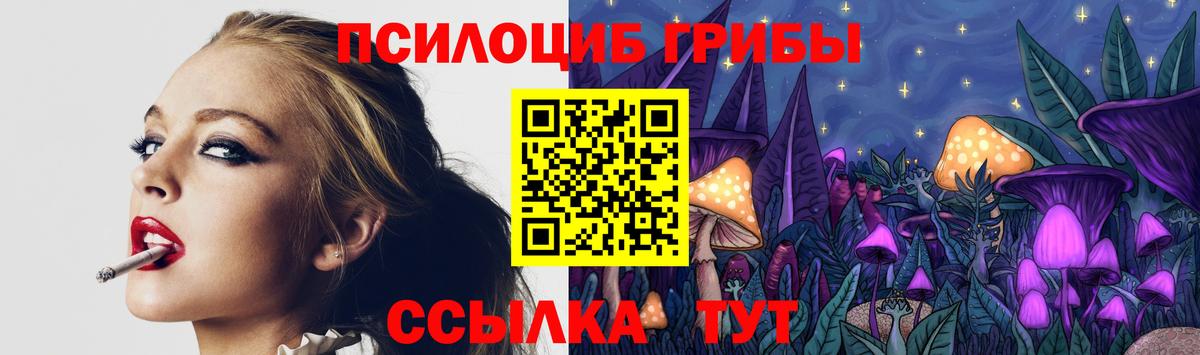 Галлюциногенные грибы Magic Shrooms  Алейск 